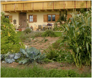 Heilpädagogischer Reiterhof Courage